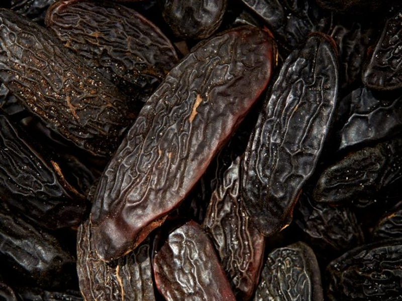 نفحات القاعدة